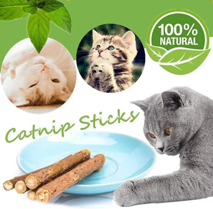 50-Pack Organic Catnip Chew Sticks - Natural Matatabi Silvervine Toys for Kittens' Dental Health