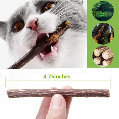 50-Pack Organic Catnip Chew Sticks - Natural Matatabi Silvervine Toys for Kittens' Dental Health