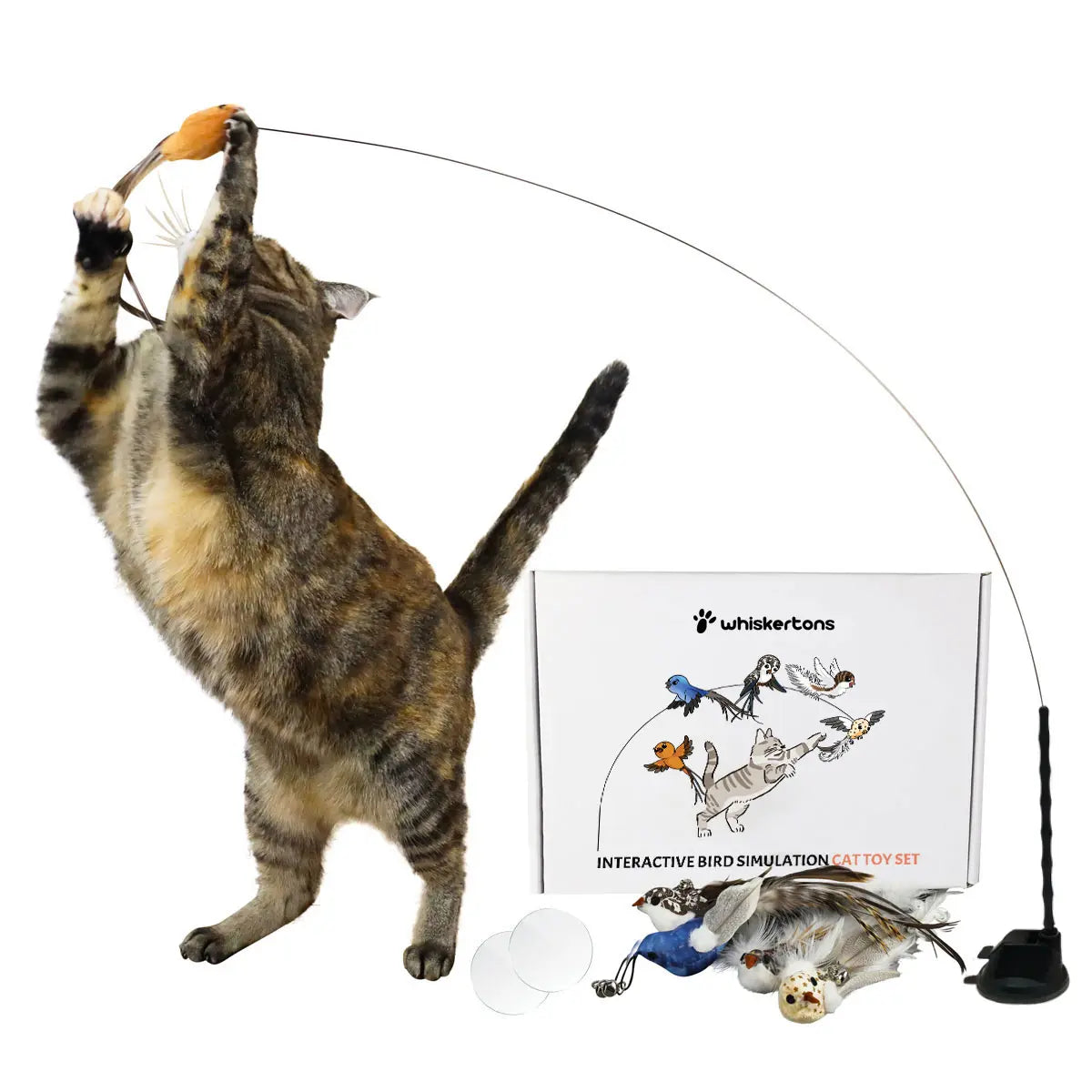 Whiskertons Interactive Bird Simulation Cat Toy Set | Interactive Cat Toy | Realistic Bird Impression