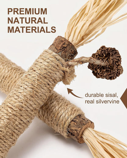Silvervine Sticks Cat Toys 6 Pack Natural Matatabi Dental Chew Sticks with Raffia for Cats and Kittens Indoor Play and Teeth Cleaning