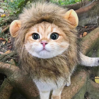 Transform your pet into a roaring cutie with our adorable Lion Mane Wig Hat! Perfect for Halloween, cosplay, or just for fun! 🦁🎉 #PetCostume #HalloweenReady