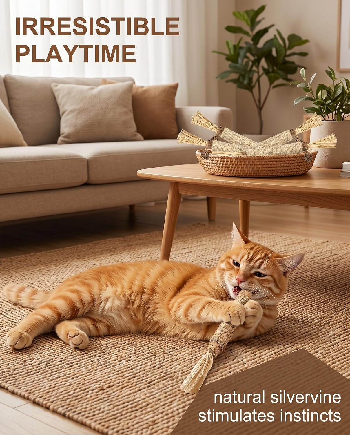 Silvervine Sticks Cat Toys 6 Pack Natural Matatabi Dental Chew Sticks with Raffia for Cats and Kittens Indoor Play and Teeth Cleaning