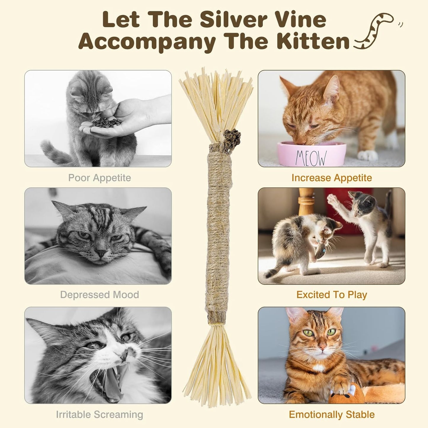 8-Pack Silvervine Chew Sticks for Cats - Edible Matatabi Dental Chew Toys for Indoor Cats