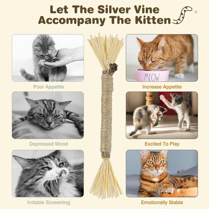 8-Pack Silvervine Chew Sticks for Cats - Edible Matatabi Dental Chew Toys for Indoor Cats