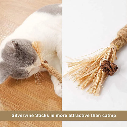 Set of 4 Cat Chew Sticks with Catnip and Cat Grass for Dental Health and Interactive Play