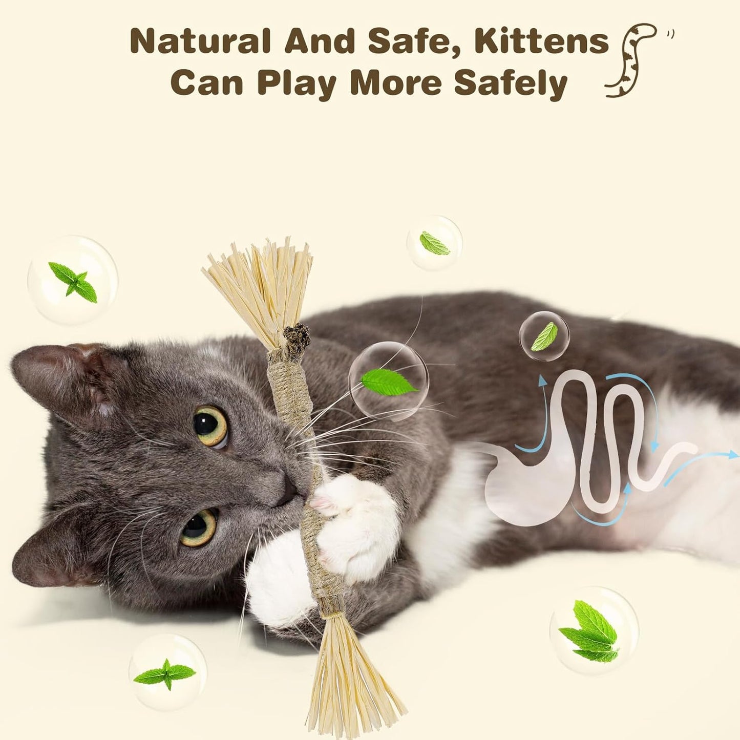 8-Pack Silvervine Chew Sticks for Cats - Edible Matatabi Dental Chew Toys for Indoor Cats