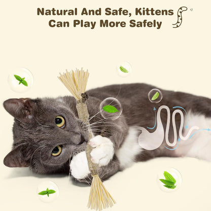 8-Pack Silvervine Chew Sticks for Cats - Edible Matatabi Dental Chew Toys for Indoor Cats