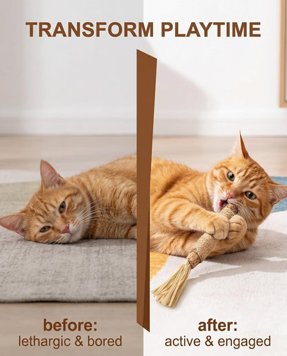 Silvervine Sticks Cat Toys 6 Pack Natural Matatabi Dental Chew Sticks with Raffia for Cats and Kittens Indoor Play and Teeth Cleaning