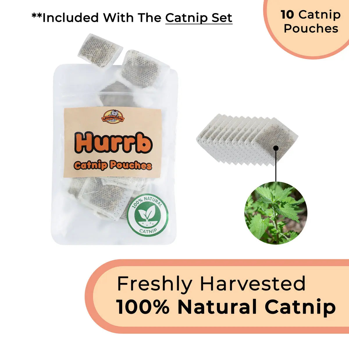 Whiskertons Interactive Bird Simulation Cat Toy Set | Interactive Cat Toy | Realistic Bird Impression