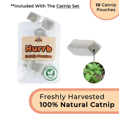 Whiskertons Interactive Bird Simulation Cat Toy Set | Interactive Cat Toy | Realistic Bird Impression