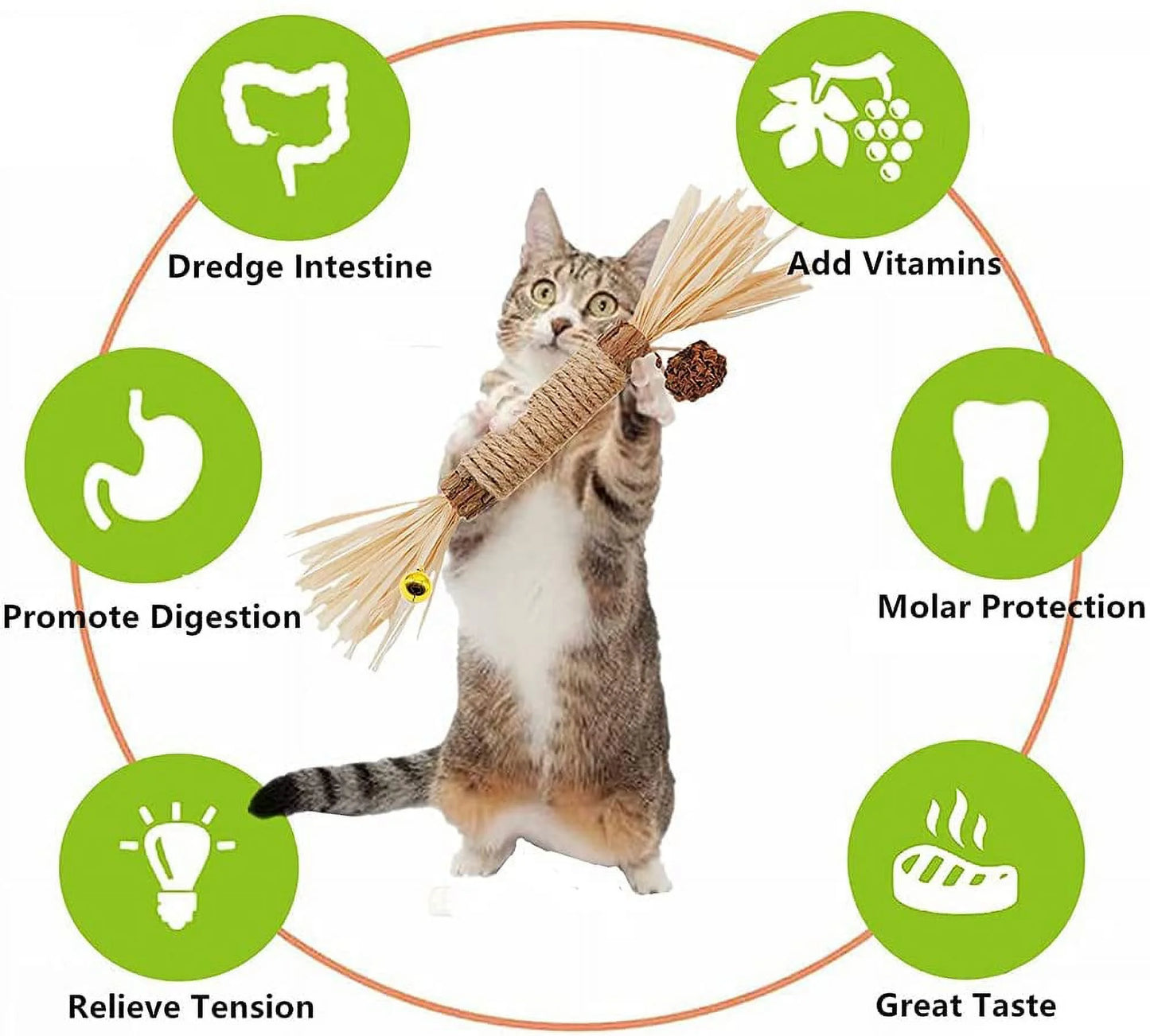 Set of 4 Cat Chew Sticks with Catnip and Cat Grass for Dental Health and Interactive Play