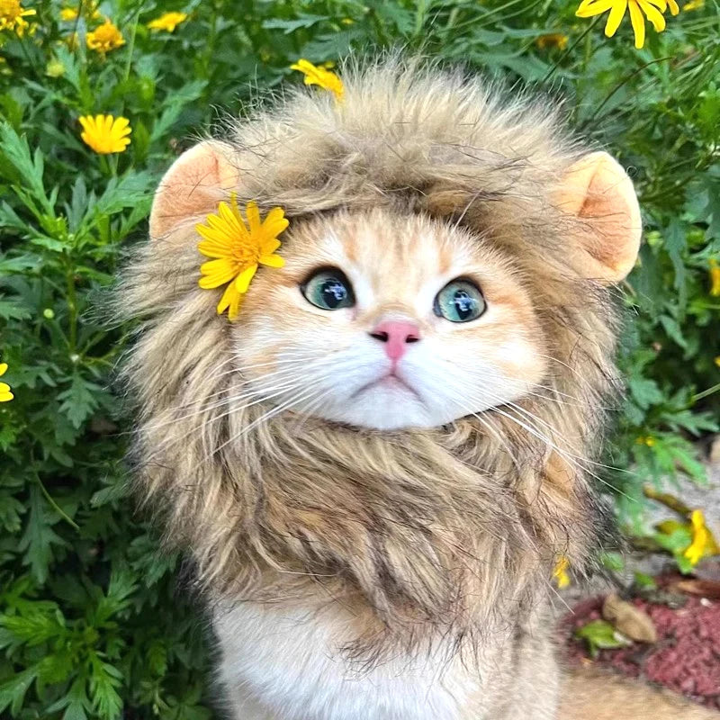 Transform your pet into a roaring cutie with our adorable Lion Mane Wig Hat! Perfect for Halloween, cosplay, or just for fun! 🦁🎉 #PetCostume #HalloweenReady