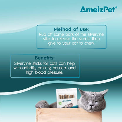 Natural Matatabi Catnip Chew Sticks for Dental Care - Silvervine Teeth Cleaning for Cats (6 Pieces)