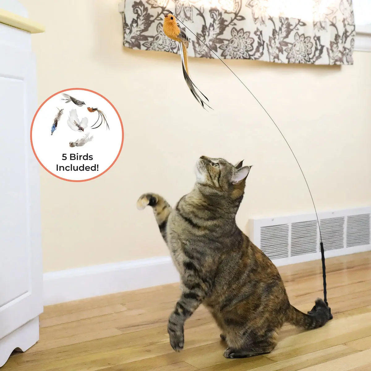 Whiskertons Interactive Bird Simulation Cat Toy Set | Interactive Cat Toy | Realistic Bird Impression