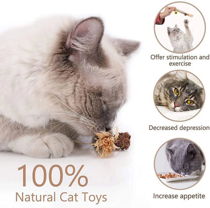 Set of 4 Cat Chew Sticks with Catnip and Cat Grass for Dental Health and Interactive Play