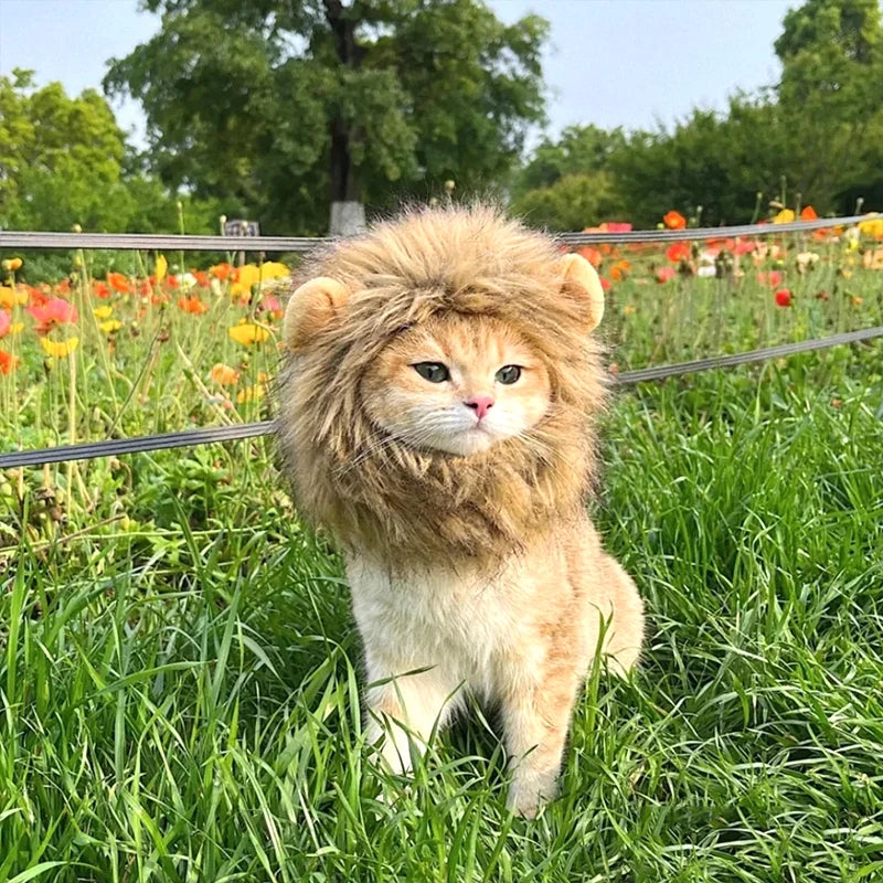 Transform your pet into a roaring cutie with our adorable Lion Mane Wig Hat! Perfect for Halloween, cosplay, or just for fun! 🦁🎉 #PetCostume #HalloweenReady