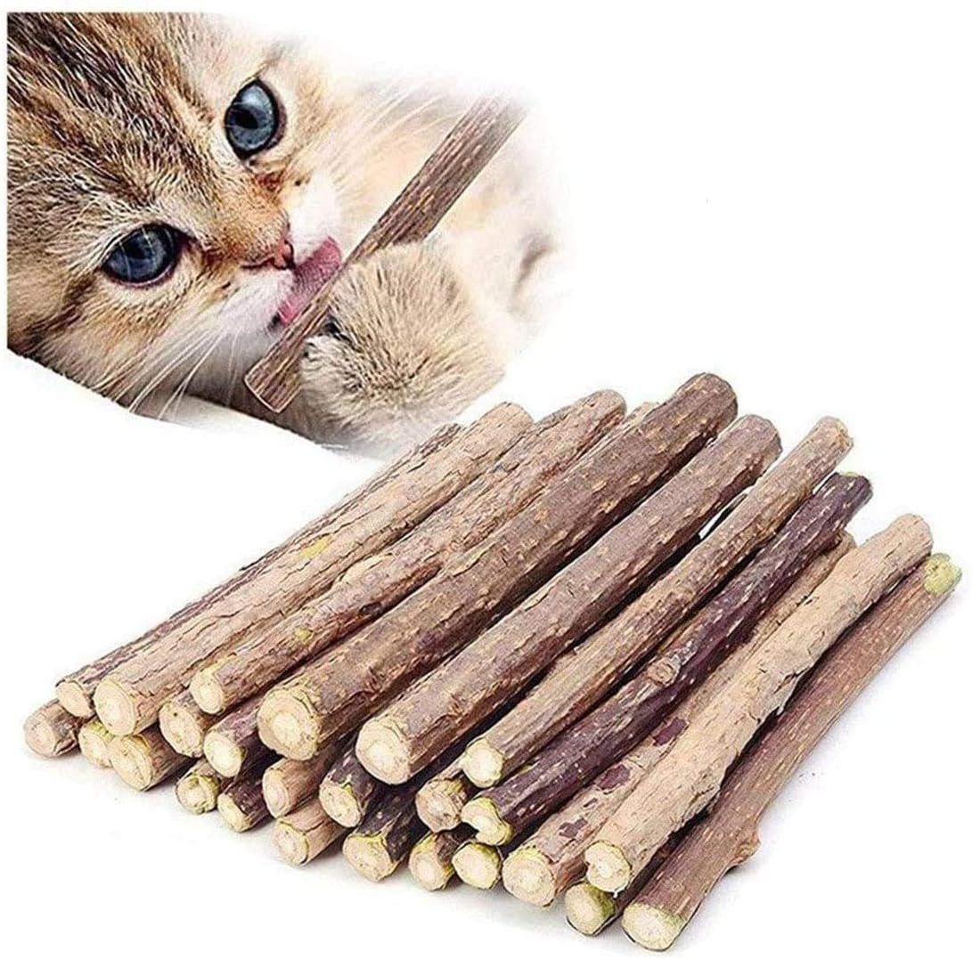 50-Pack Organic Catnip Chew Sticks - Natural Matatabi Silvervine Toys for Kittens' Dental Health