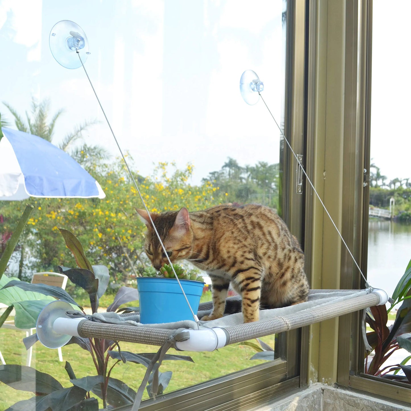 Cat Hammock for Window, Cat Bed Sunny Seat Safety and Space Saving Window Mounted Cat Perch