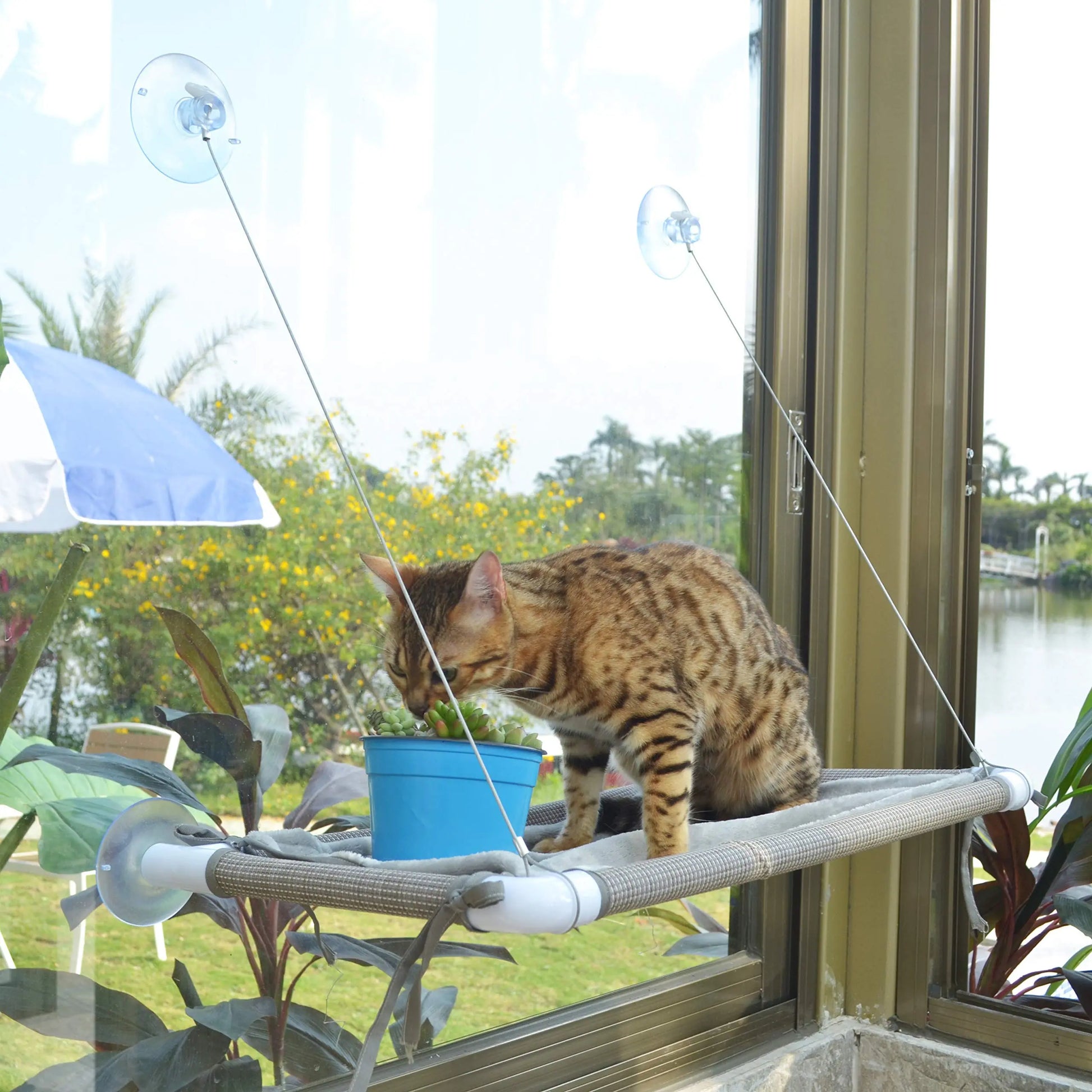 Cat Hammock for Window, Cat Bed Sunny Seat Safety and Space Saving Window Mounted Cat Perch