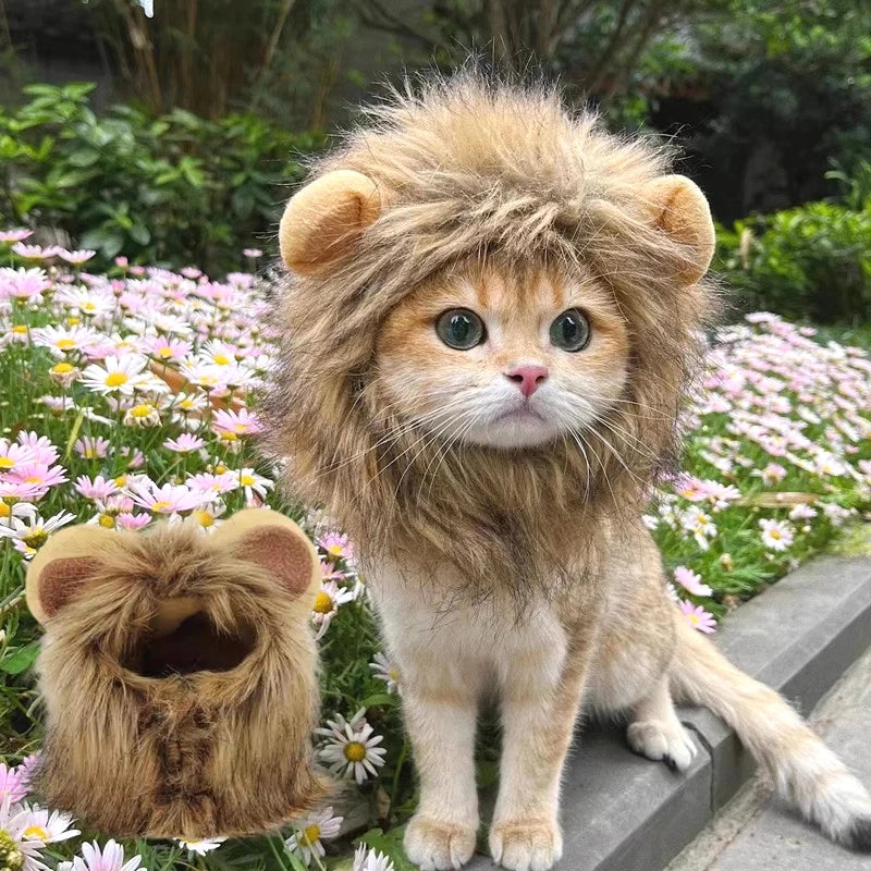 Transform your pet into a roaring cutie with our adorable Lion Mane Wig Hat! Perfect for Halloween, cosplay, or just for fun! 🦁🎉 #PetCostume #HalloweenReady