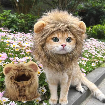 Transform your pet into a roaring cutie with our adorable Lion Mane Wig Hat! Perfect for Halloween, cosplay, or just for fun! 🦁🎉 #PetCostume #HalloweenReady