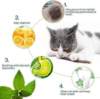 50-Pack Organic Catnip Chew Sticks - Natural Matatabi Silvervine Toys for Kittens' Dental Health