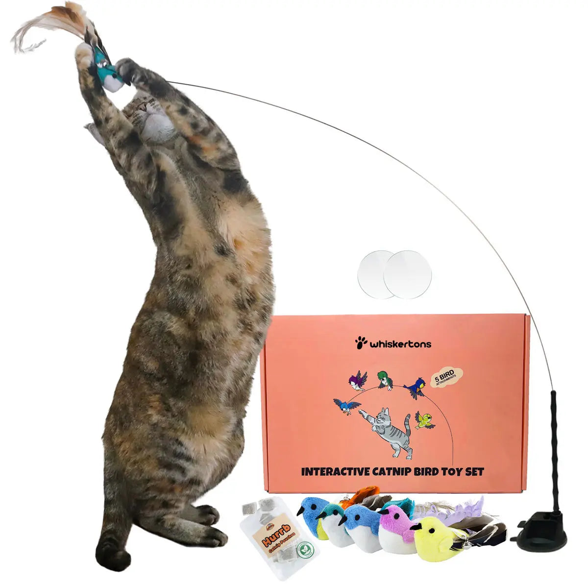 Whiskertons Interactive Bird Simulation Cat Toy Set | Interactive Cat Toy | Realistic Bird Impression