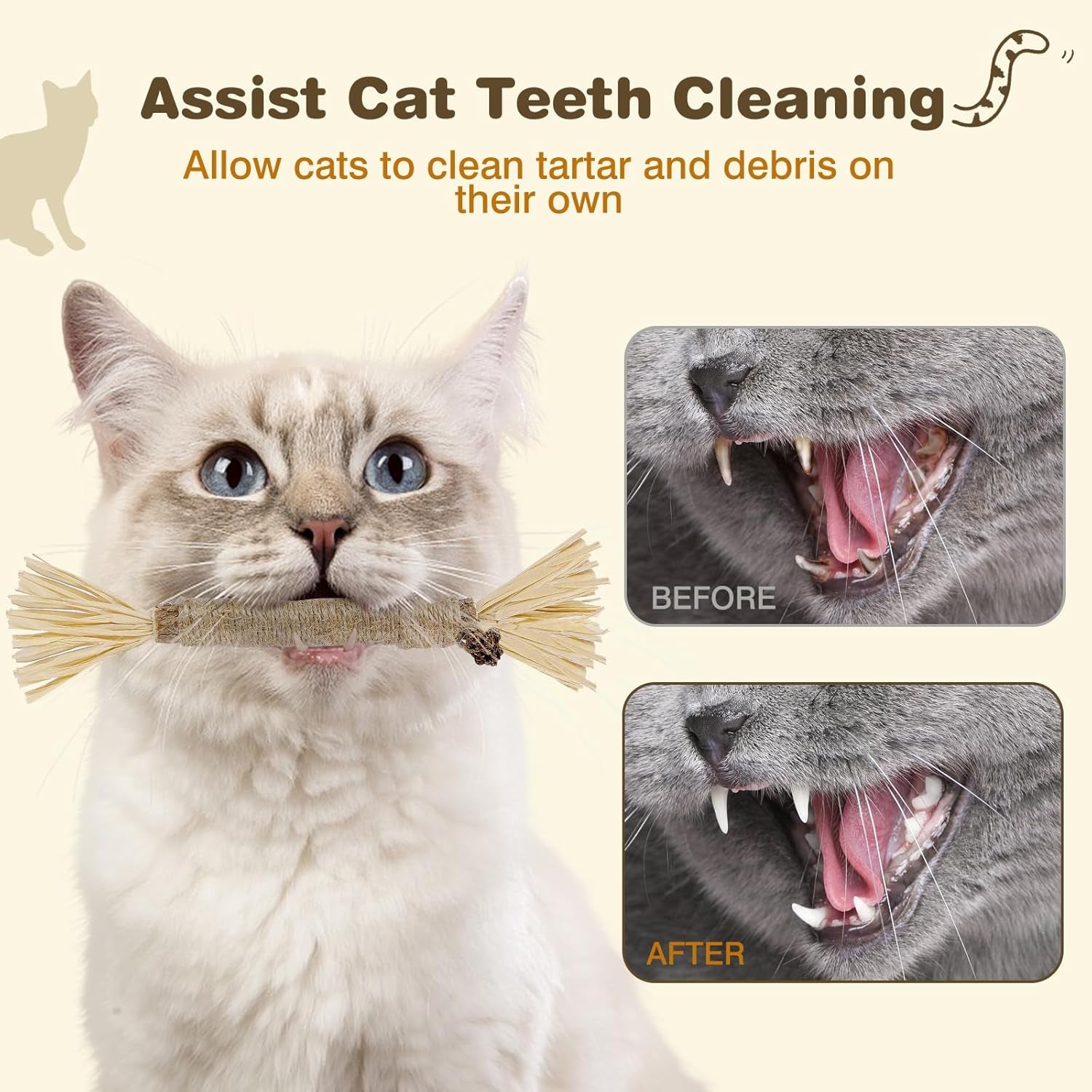 8-Pack Silvervine Chew Sticks for Cats - Edible Matatabi Dental Chew Toys for Indoor Cats