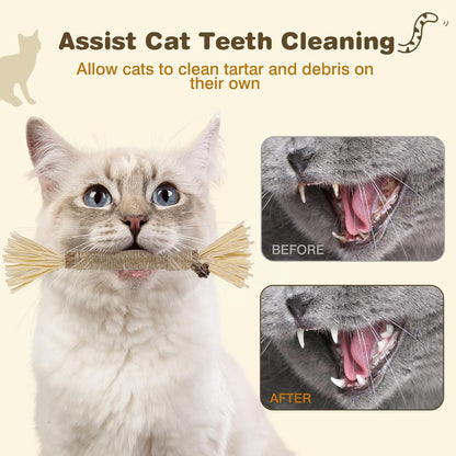 8-Pack Silvervine Chew Sticks for Cats - Edible Matatabi Dental Chew Toys for Indoor Cats